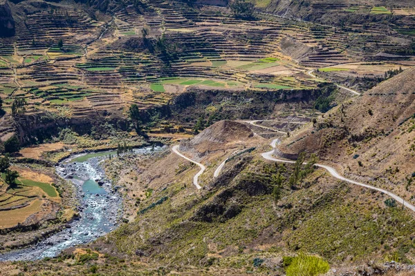 Vista Terrazas Cultivo Cañón Del Colca Chivay Perú — Foto de Stock