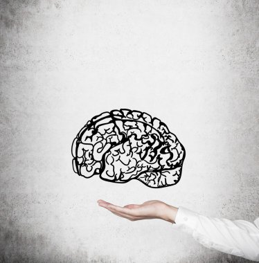 Woman's hand with brain sketch