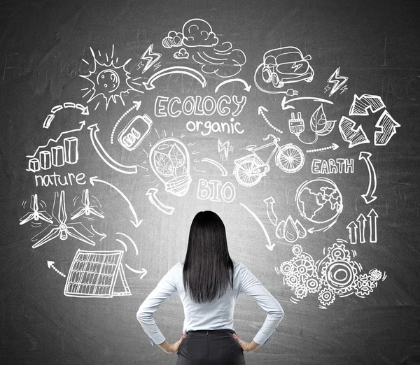 Woman looking at renewable energy sources sketches at blackboard — Stockfoto