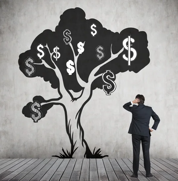 Hombre mirando el dibujo del árbol del dólar con el dólar blanco y negro si — Foto de Stock