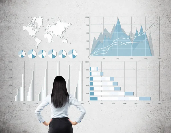 Rear view of black haired woman looking at blue and white graphs — Stock Photo, Image