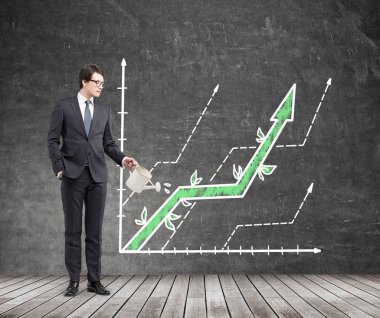 Finansal büyüme kavramı
