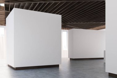 Sanat Galerisi beton zemin, ahşap tavan ve yan