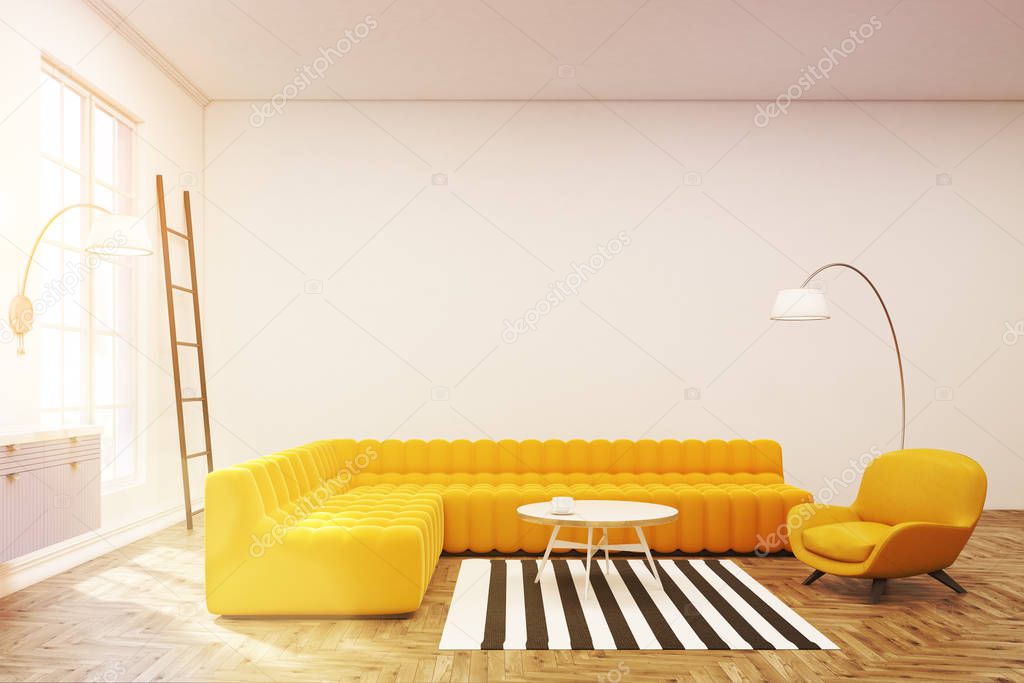 Modern lounge interior, zebra carpet