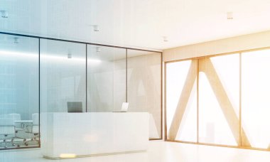 Resepsiyon ve beyaz toplantı odası, yan, tonda