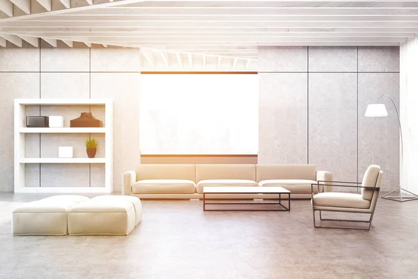 Sala de estar gris con un estante blanco, tonificado — Foto de Stock
