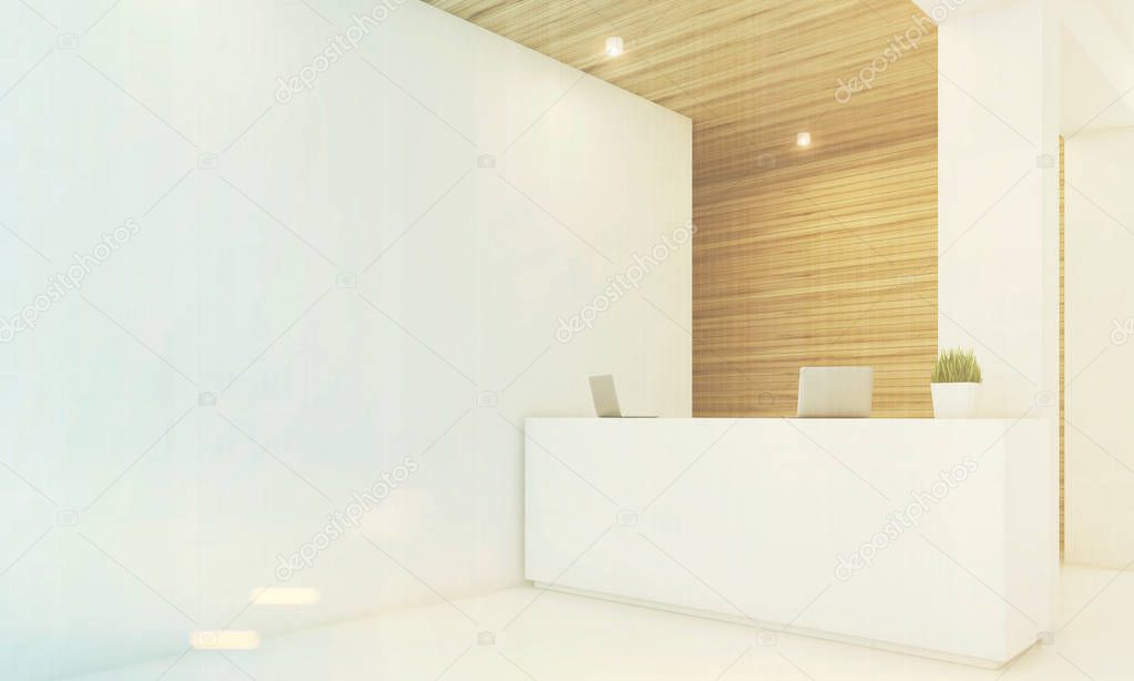 Light wooden reception, armchair, side, toned