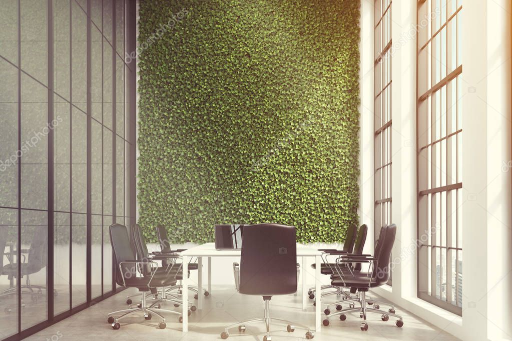 Conference room, grass wall toned