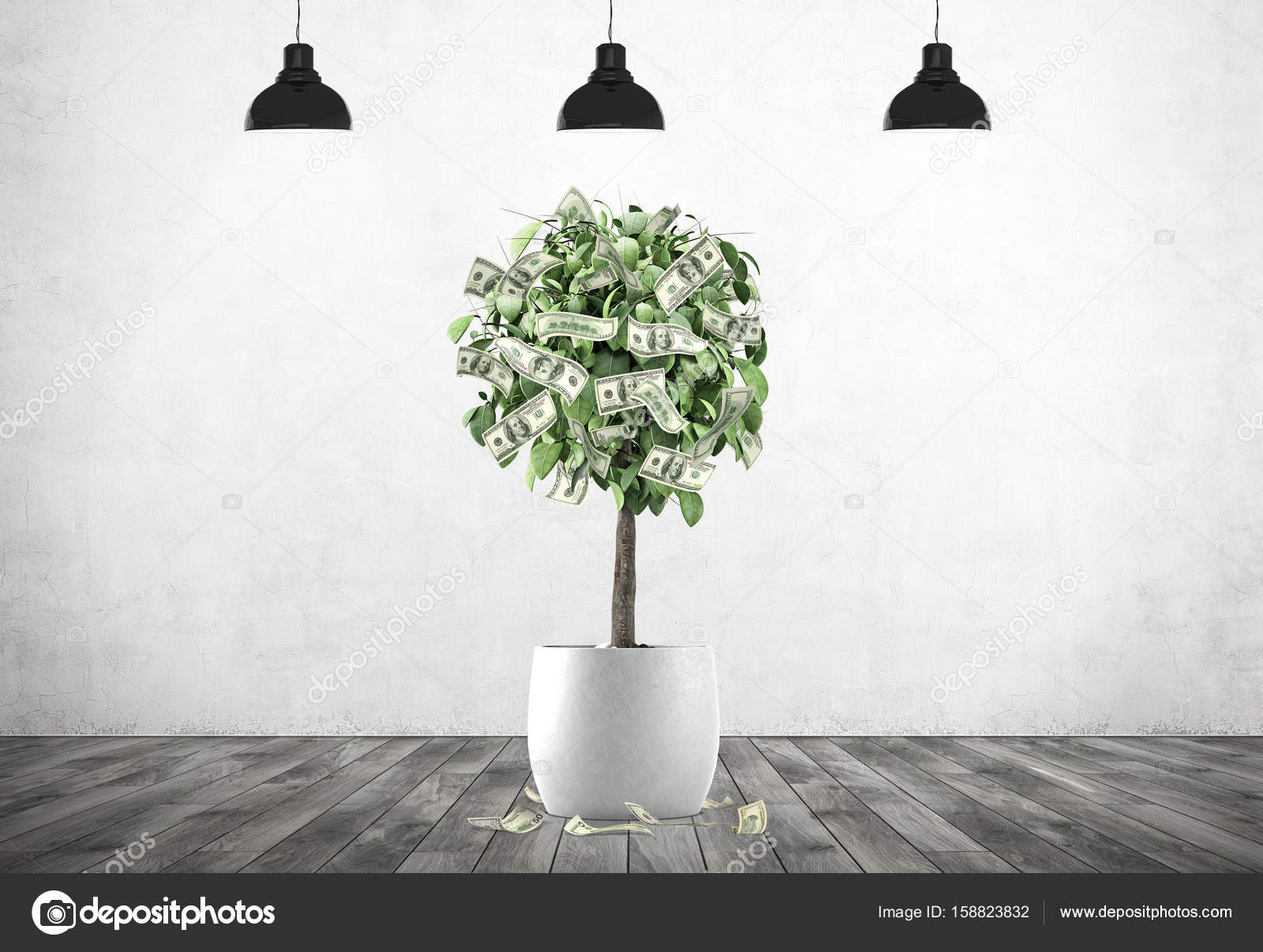 Dollar Tree In A Pot Concrete Room Lamps Stock Photo Dollar Tree In A Pot Concrete Room Lamps Stock Photo