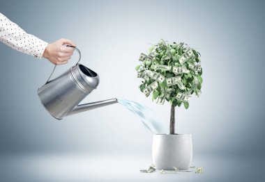 Bir Doları ağaç sulama işadamı s el