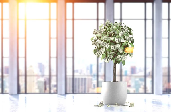 Árbol de dólar en una olla en una oficina panorámica — Foto de Stock