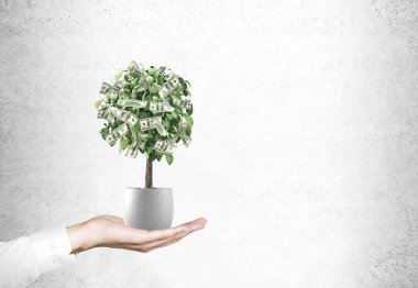 Bir elinde bir tencerede Doları ağaç