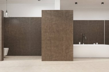 Kahverengi banyo bir tuvalet ile