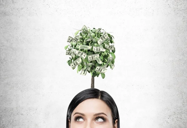 Femme d'affaires aux cheveux noirs, arbre à dollar — Photo
