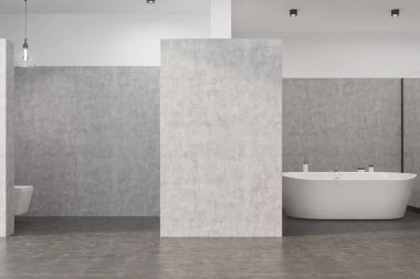 Gri banyo bir tuvalet ile