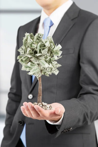 Бизнесмен с крошечным долларовым деревом — стоковое фото