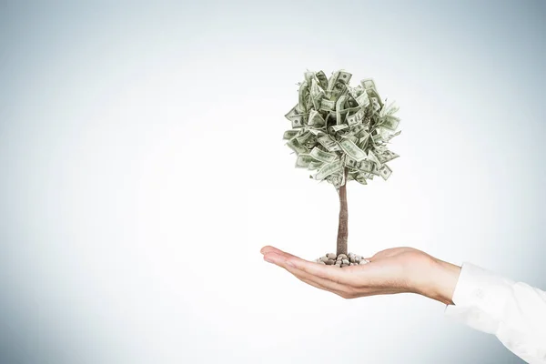 Mano di uomo d'affari e un albero di dollaro — Foto Stock