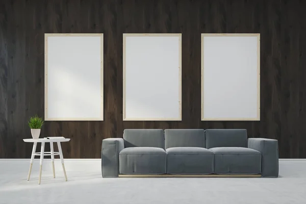 Dřevěný obývací pokoj, šedá pohovka, plakáty — Stock fotografie