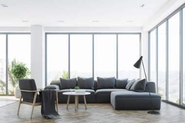 Gri bir kanepe ile beyaz salon iç