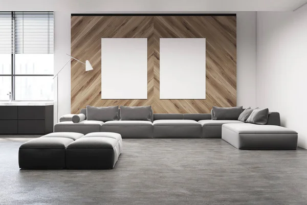 Graues Sofa Wohnzimmer mit zwei Postern — Stockfoto