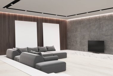 Gri beyaz oturma odası kanepe, posterler