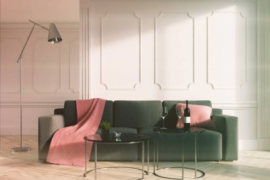 Beyaz oturma odası kanepe iç, gri tonlu