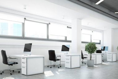 Açık alan office, bir ağaç, beyaz duvarlar