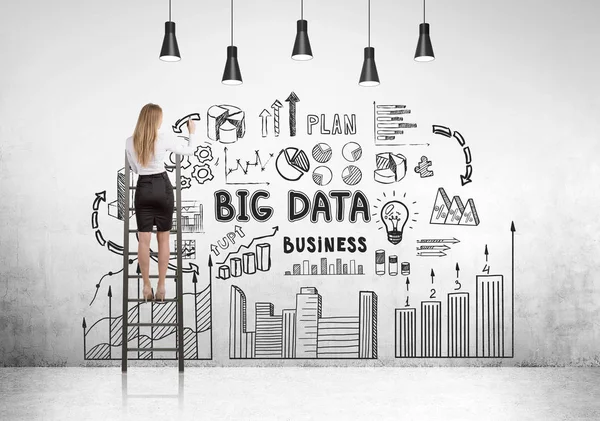 Blonde businesswoman on ladder, big data — Stock Photo, Image