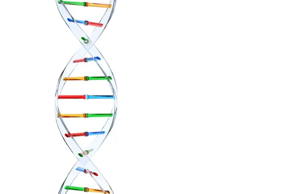 투명 한 수직 Dna 체인 — 스톡 사진