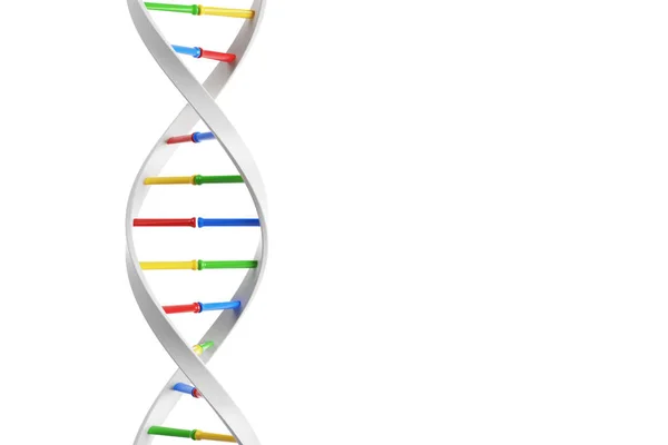 Catena DNA verticale bianca — Foto Stock