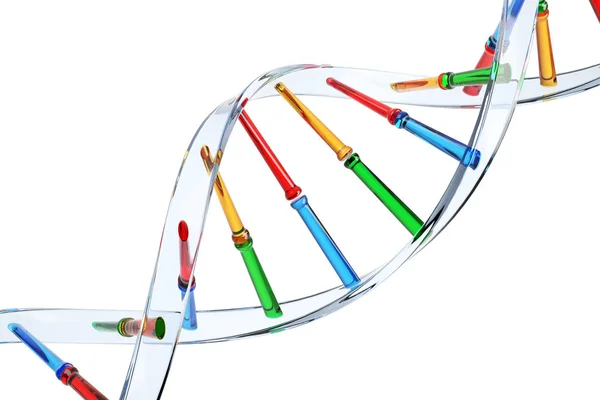 Прозрачная цепочка ДНК вблизи — стоковое фото