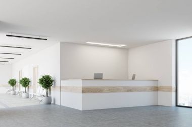 Beyaz Resepsiyon sayaç, yan