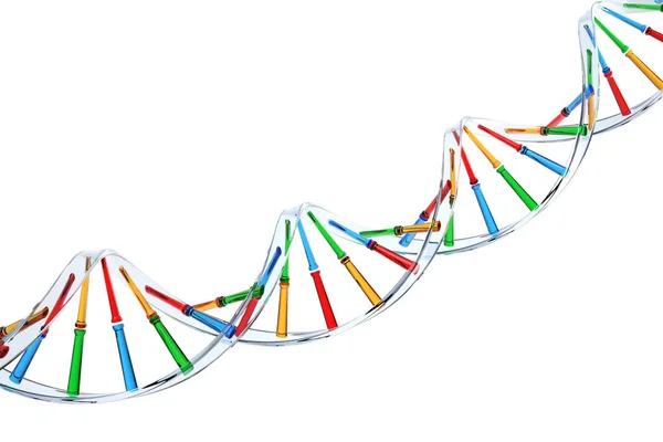Прозрачная цепочка ДНК — стоковое фото