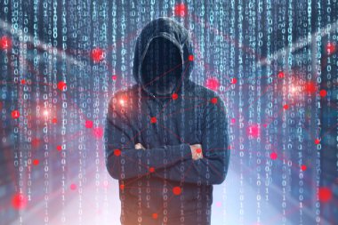 Tanınmayan hacker, sıfırlar ve birler, ağ