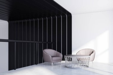 Siyah ve beyaz bir odada iki koltuk