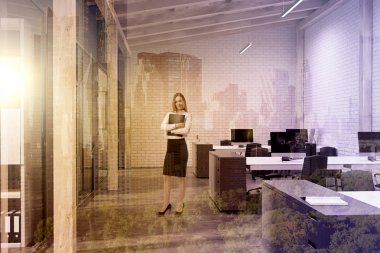 Beyaz tuğla açık alan office, tavan, kadın