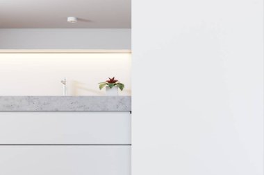 Beyaz çift lavabo yakın kadar sahte duvar