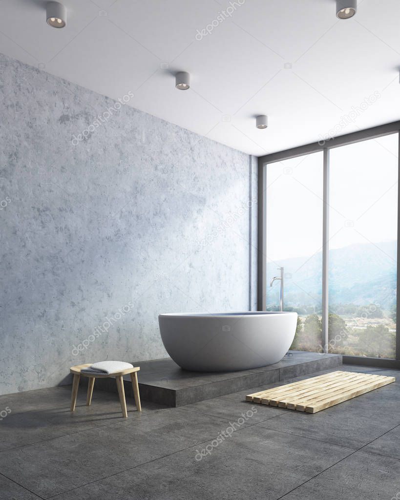 Modern bathroom corner, gray tub