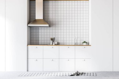 Modern döşenmiş mutfak beyaz mutfak tezgahı