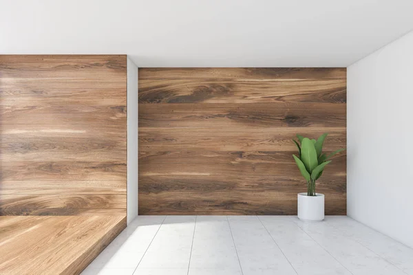 Пустой деревянный интерьер комнаты с растением — стоковое фото