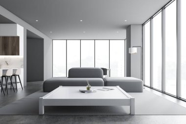 Gri mutfak ve oturma odası iç