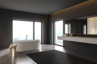 Lavabo ve küvet ile gri banyo köşesi