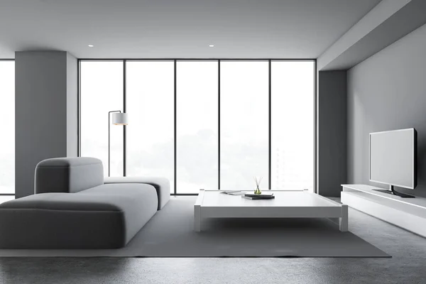 Salon confortable gris avec canapé et TV — Photo