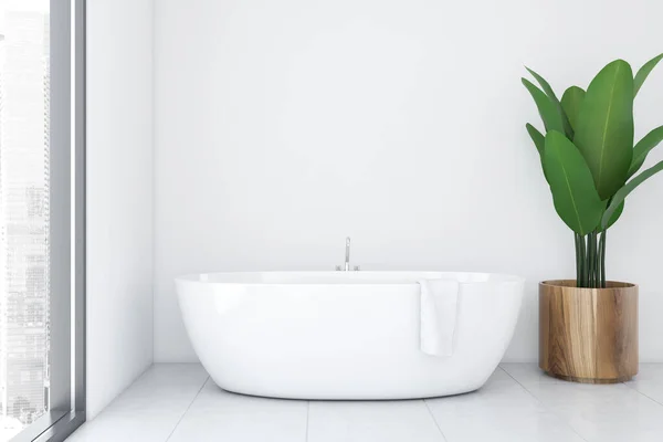 Interior del baño blanco con bañera y planta — Foto de Stock