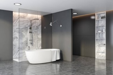 Gri ve mermer banyo köşesi, küvet ve duş