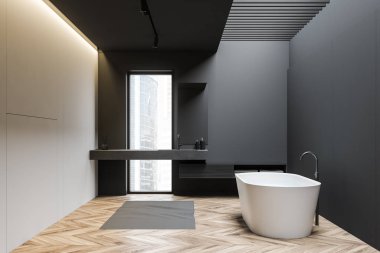 Gri ve beyaz loft banyo iç