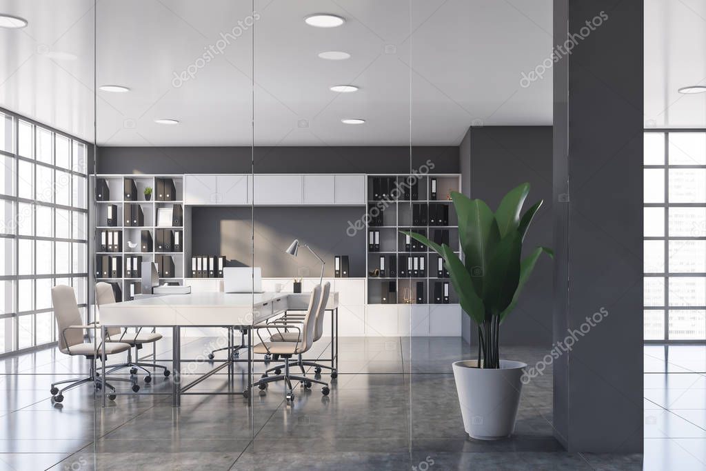 Gray CEO office with bookcase and hall