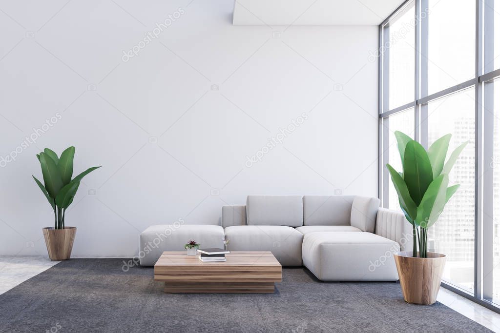 White living room interior with white sofa