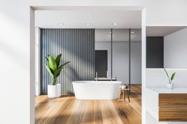 Küvetli beyaz ve gri banyo iç