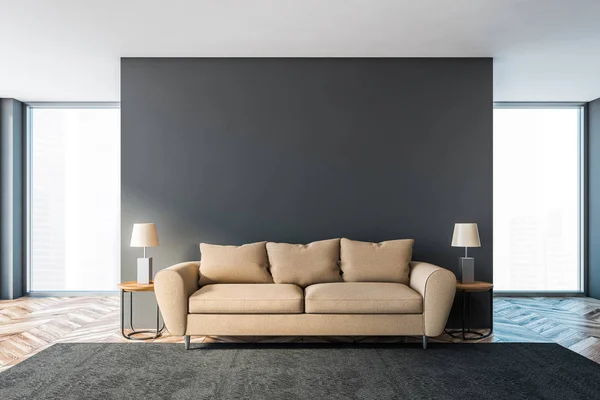 Interior de la sala de estar gris con sofá beige — Foto de Stock